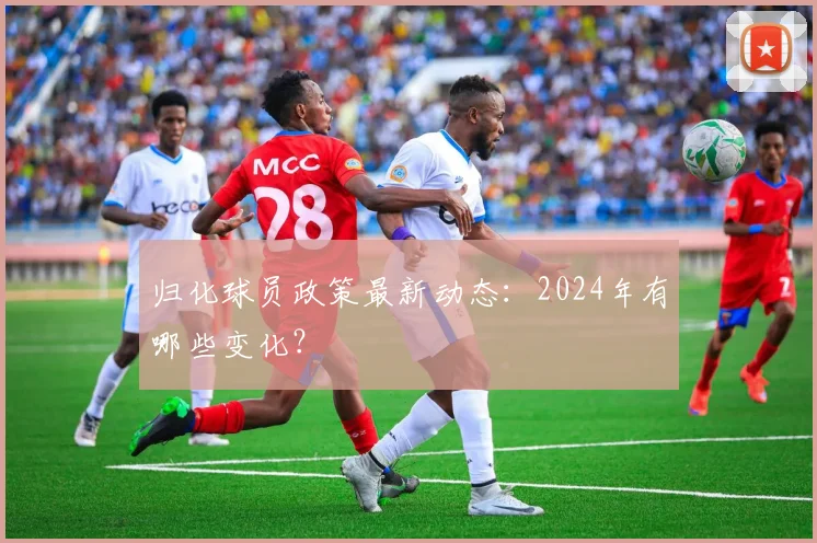 归化球员政策最新动态:2024年有哪些变化?